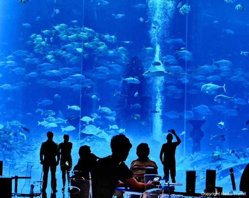 Atlantis Aquarium