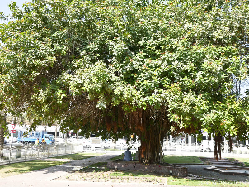 P1480495