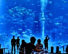 Atlantis Aquarium