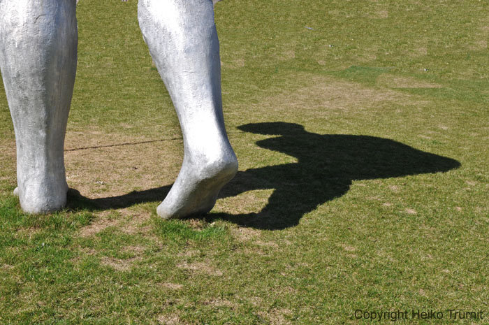 DSC_8866
