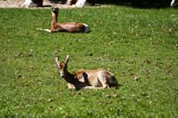 IMG_7041