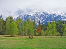 61.Alpenblick vom Schloss Elmau