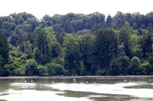 Apfeldorf-15