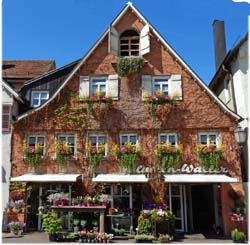 23. Schorndorf Blumen