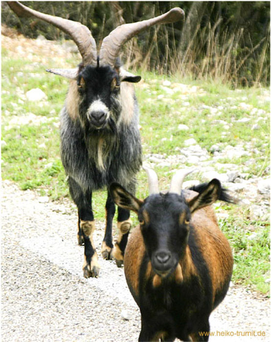 Gorges_de_l'Ardeche-5