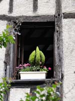 DSC02415