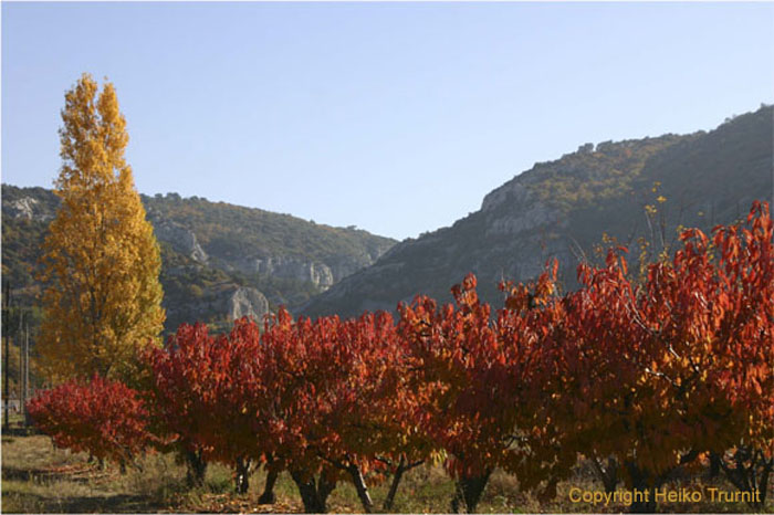 04.In den Monts Vaucluse