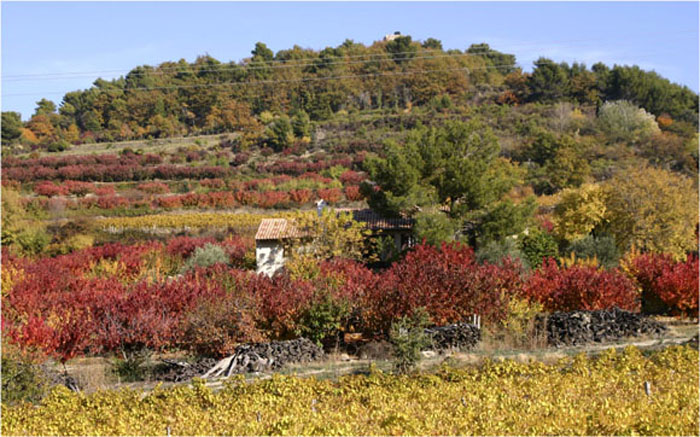 05.Herbstfarben in Vaucluse