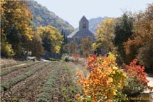 11.Abbaye Senanque