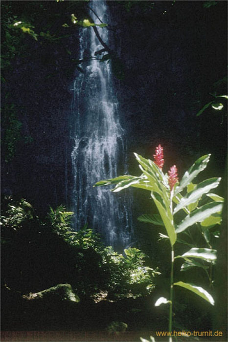 13.Faarumai-Wasserfall Tahiti