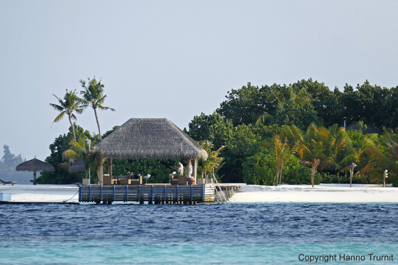 M035.Jetty Lonubo