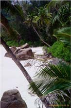 12.Anse Intendance.Mahe