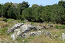 CSC_3135