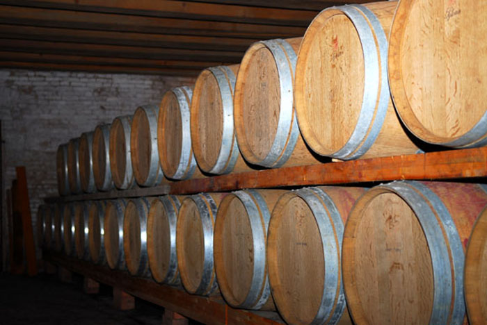 Weingut Salvan-6