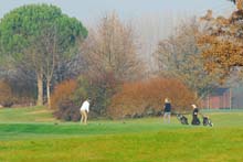 Golf in Abano-4