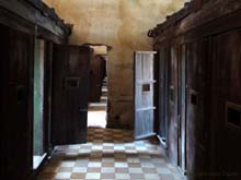 Death_Cells