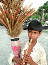 DSCN1278