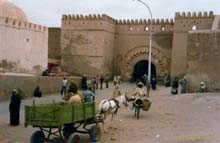 Tor_zur_Medina_in_Marrakesch