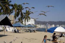 Strand_von_Acapulco