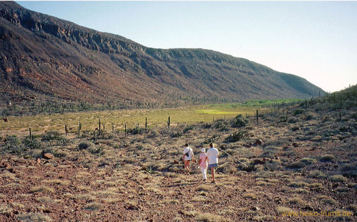 1..Isla Partida