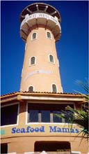58.Mama's Leuchtturm in Cabo San Lucas