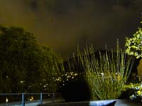 DSC03993