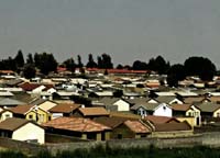 DSC05165