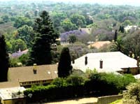 DSC05376