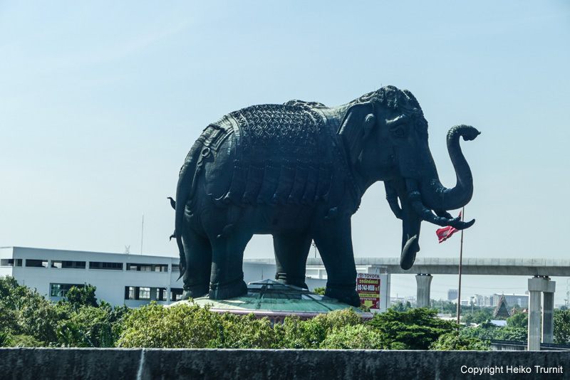 P1690584