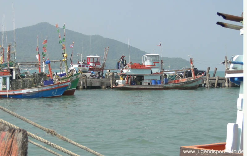 DSC03001
