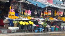 Flower_Market-01