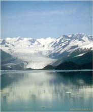 27.Am Lamp-Blue-Gletscher, Glacier Bay