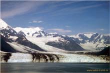 41. Gletscher im Colledge Fjord