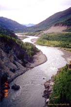 51.Tanana River3