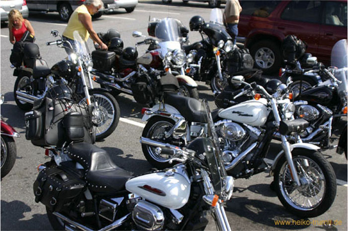 10.Harleys 