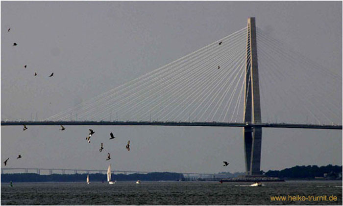 Wando River Bridge Charleston