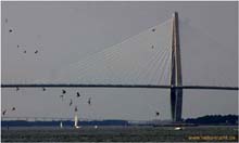 Wando River Bridge Charleston