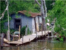 08.Cajun-Huette in den Swamps