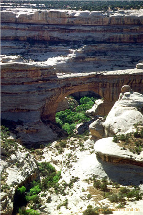 08.Sipapu  Natural Bridges UT