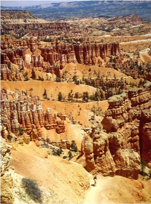 19.Navajo-Trail im Bryce Canyon