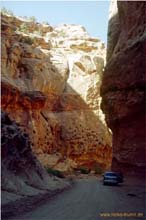 11.Capitol Reef Natl. Park