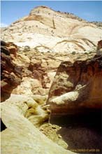 14.Water Pockets im Capitol Reef