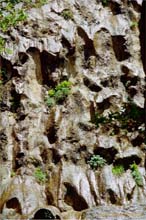 30.Weeping Rock i Zion Natl. Park