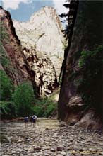 31.Virgin River Narrows  Zion Natl. Park