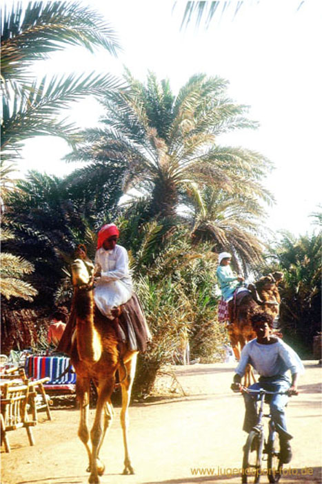 07.Arabische Verkehrsmittel