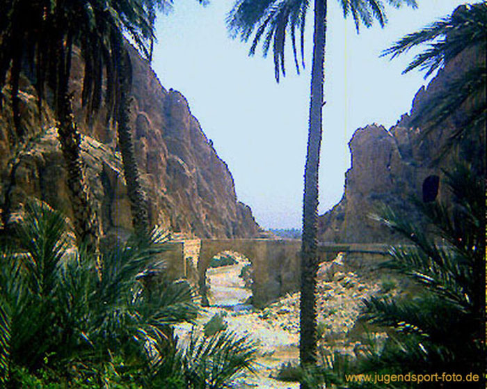 Gorge d'el_Kantara