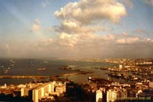 Alger-1