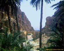 Gorge d'el_Kantara