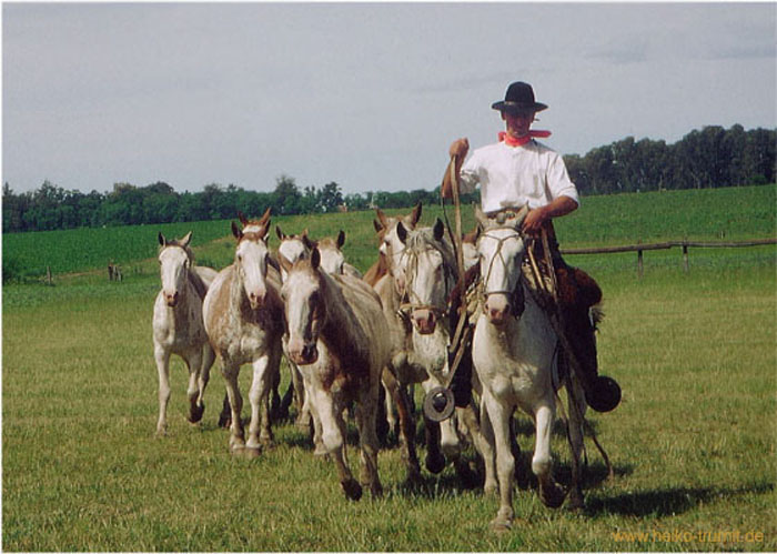 23.Reiterspiele Estancia Santa Susanna