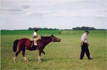 21. Estancia Santa Susanna, Los Cardales